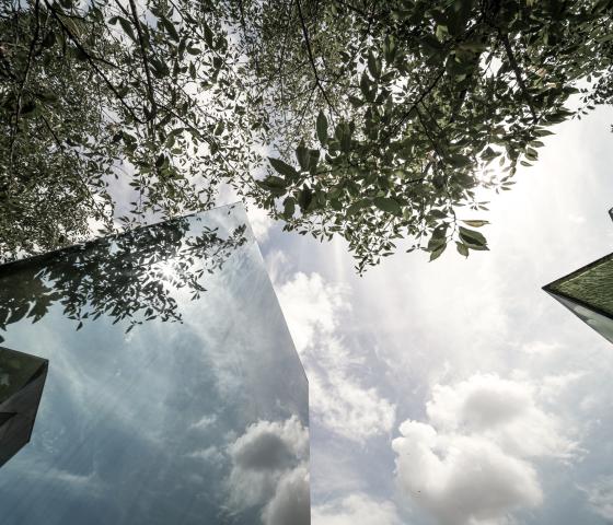 Mirrored building reflecting trees and sky